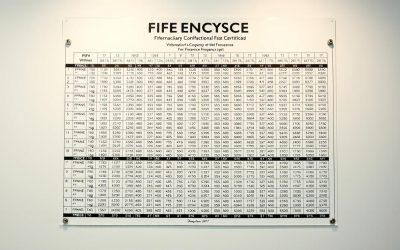 Rife Machine Frequency Chart: Your Guide to Vibrational Therapy