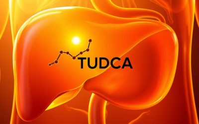 Liver and Gallbladder Synergy: How TUDCA Helps Keep Bile Moving